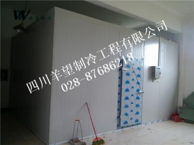 洪雅若水茶業公司 茶葉儲藏庫